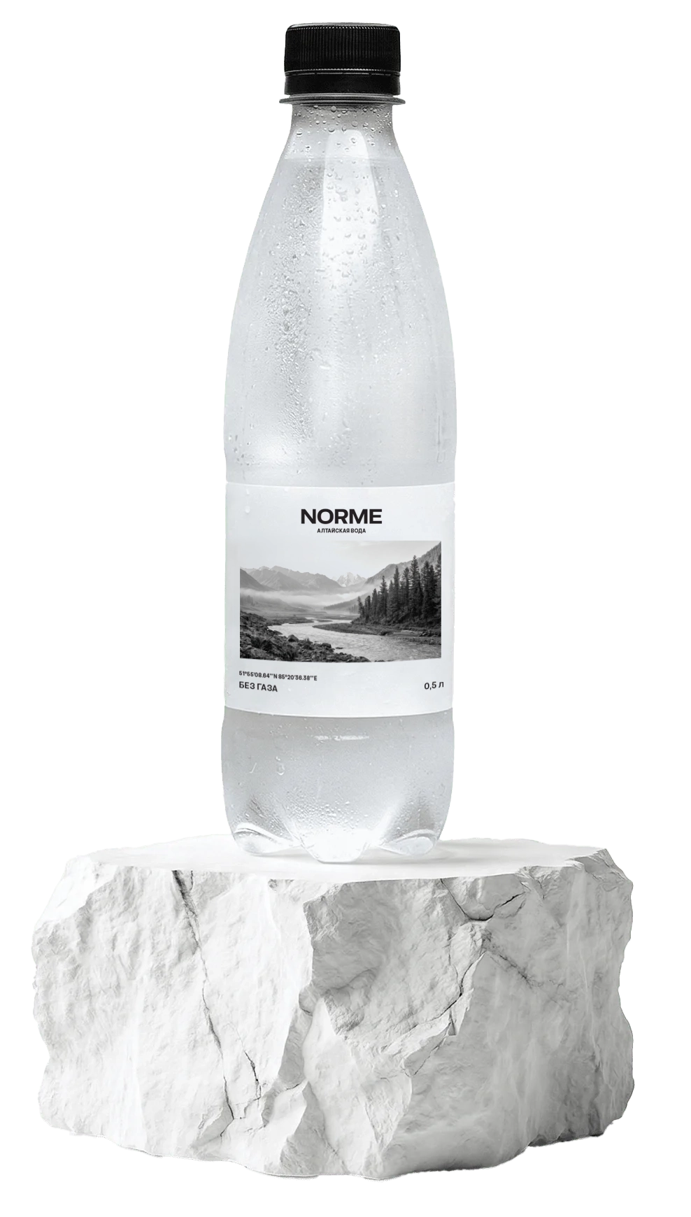 Бутылка Norme Water на камне