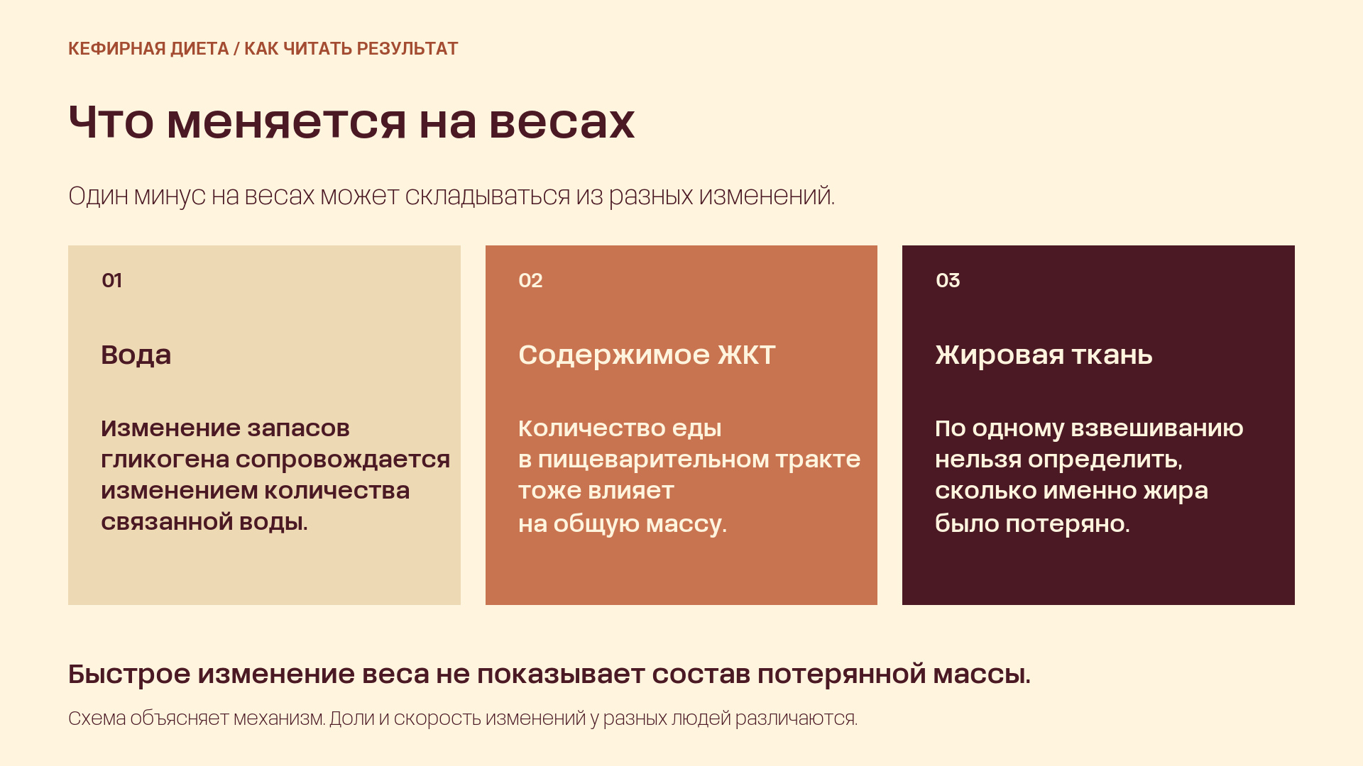 Три составляющие изменения веса: вода, содержимое пищеварительного тракта и жировая ткань